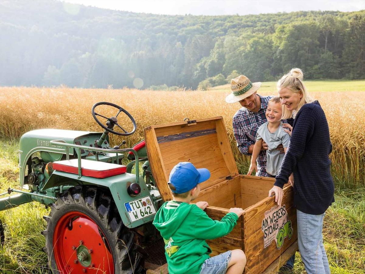 Willa An Webers Stoag Geisingen Zewnętrze zdjęcie
